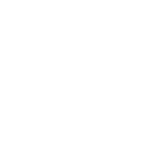 The Step Up Ventures